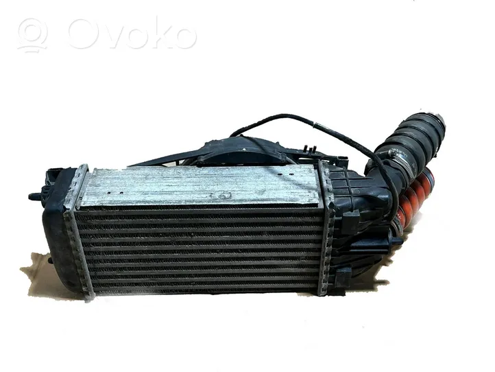 Citroen DS3 Radiatore intercooler 9684311680