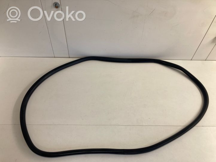 Citroen C4 II Picasso Rear door rubber seal (on body) 