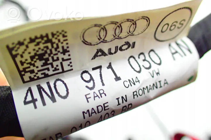 Audi A8 S8 D5 Cablaggio porta anteriore 4N0971030AN