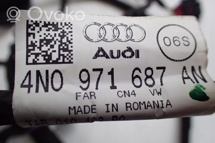 Audi A8 S8 D5 Wiązka przewodów drzwi tylnych 4N0971687AN