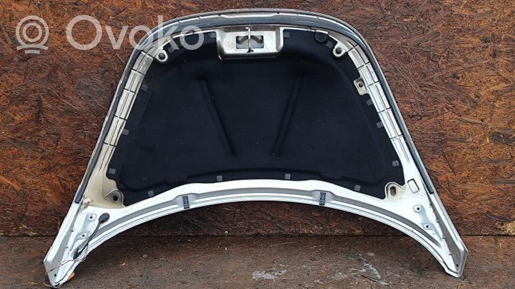 Volkswagen New Beetle Engine bonnet/hood 