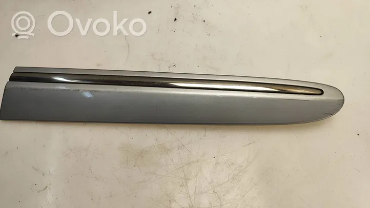 Mercedes-Benz CLK A209 C209 Fender trim (molding) A2096902562