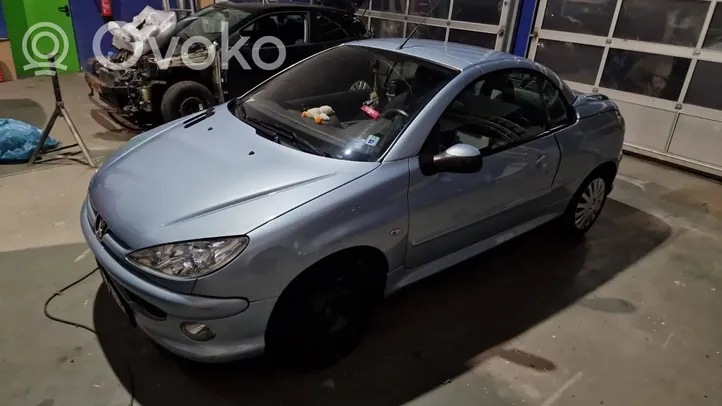 Peugeot 206+ Błotnik przedni 