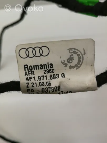 Audi A6 S6 C6 4F Wiązka przewodów drzwi tylnych 4F1971693G