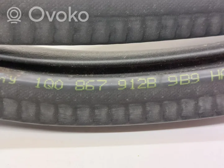 Volkswagen Eos Priekinė sandarinimo guma ant kėbulo 1Q0867912B