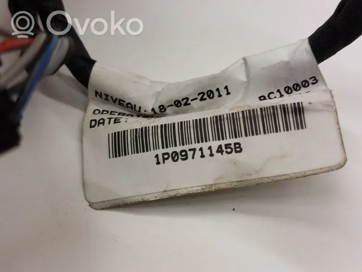 Seat Leon (1P) Проводка крышки багажника 1P0971145B