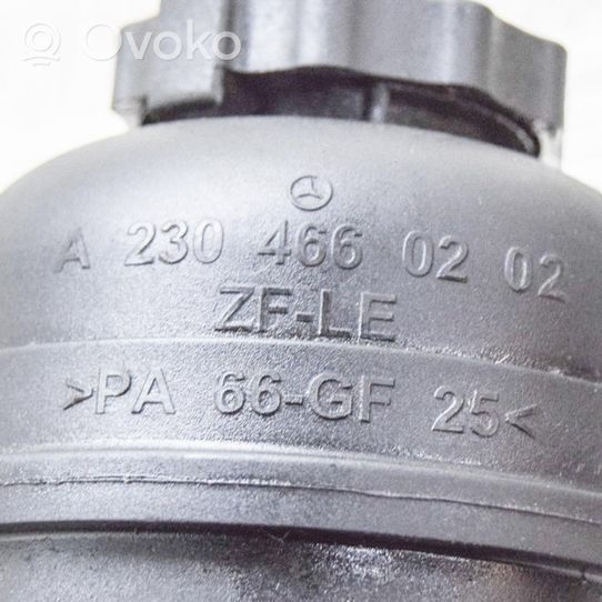 Mercedes-Benz SL R230 Serbatoio/vaschetta del liquido del servosterzo A2304660202