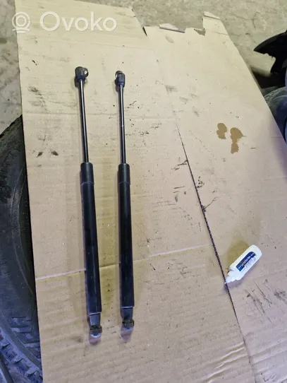 Volkswagen PASSAT B6 Tailgate/trunk strut/damper 