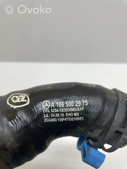 Mercedes-Benz GLE (W166 - C292) Engine coolant pipe/hose A1665002975