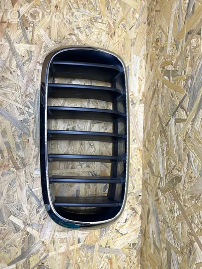 BMW X5 F15 Front bumper upper radiator grill 7316075