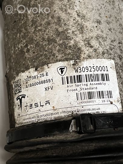 Tesla Model S Ilmajousituksen etuiskunvaimennin 102736125E