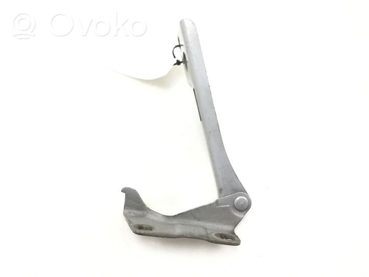 Nissan Pathfinder R51 Engine bonnet/hood hinges 