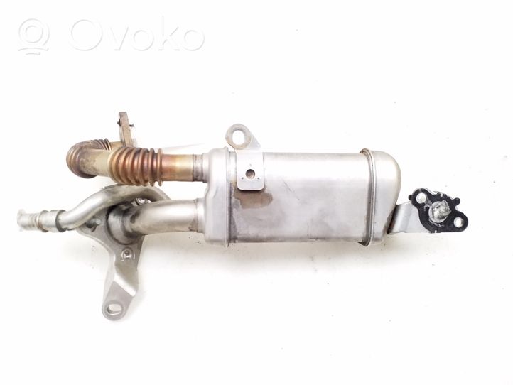 Nissan Juke I F15 EGR-venttiili/lauhdutin 147350364R