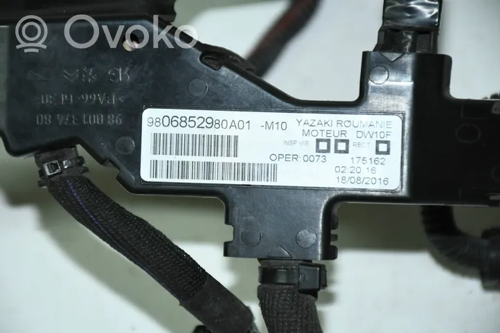 Peugeot Expert Cableado de instalación del motor 9806852980