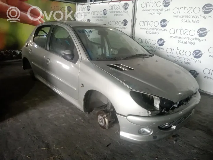 Peugeot 206+ Serratura portiera anteriore 9136J1