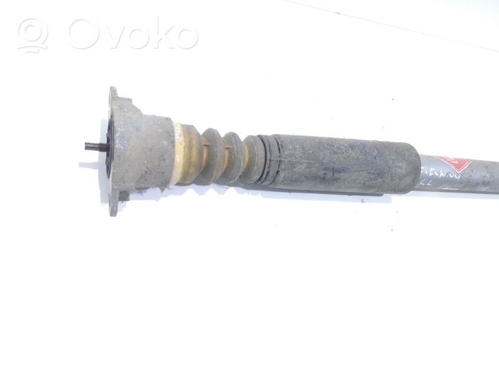 Ford Fusion Rear shock absorber/damper 