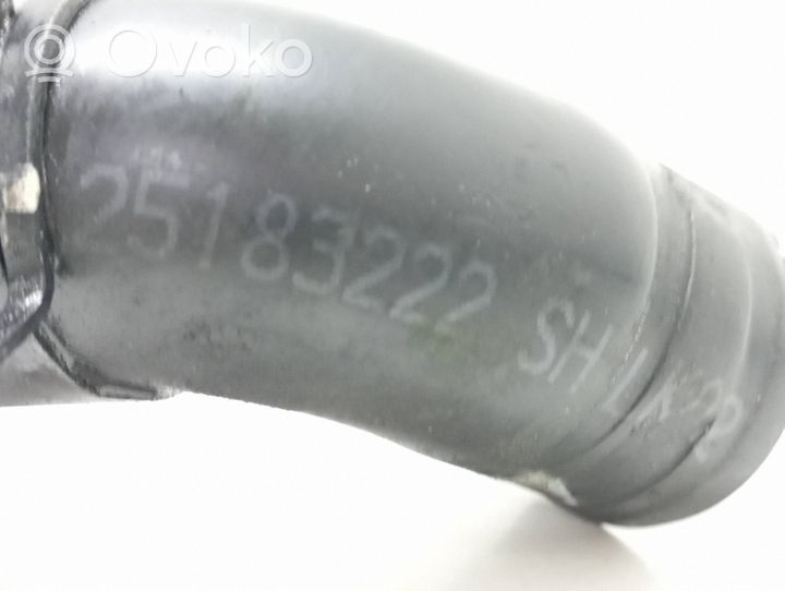 Opel Antara Žarna (-os)/ vamzdis (-džiai) 25183222