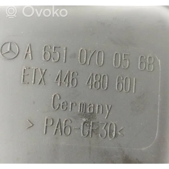 Mercedes-Benz SLK R172 Podciśnieniowy zbiornik powietrza A6510700568