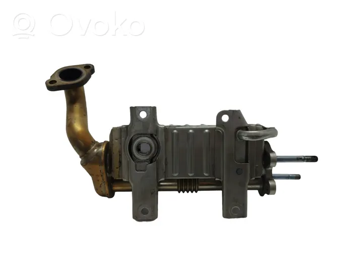 Toyota Verso EGR-venttiili/lauhdutin 256010R020