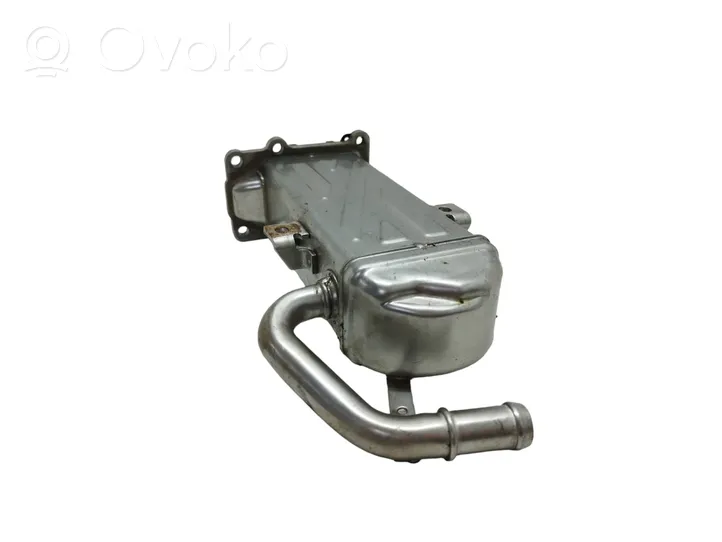 Volkswagen Golf VI EGR valve cooler 