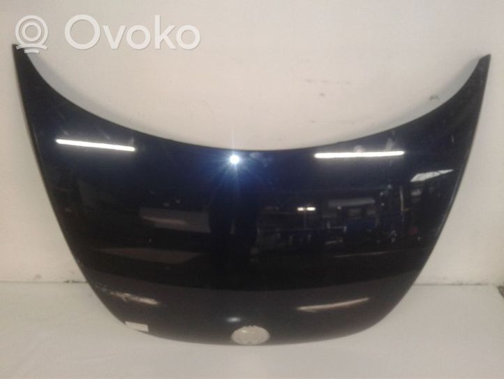 Volkswagen New Beetle Dangtis variklio (kapotas) 1C0823031L