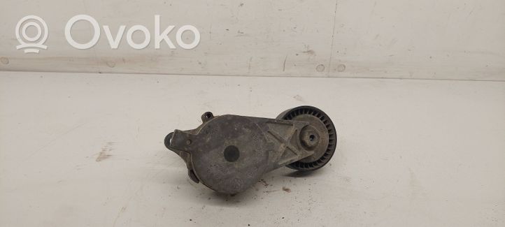 Audi A3 S3 8P Tendicinghia dell’alternatore 03G903315