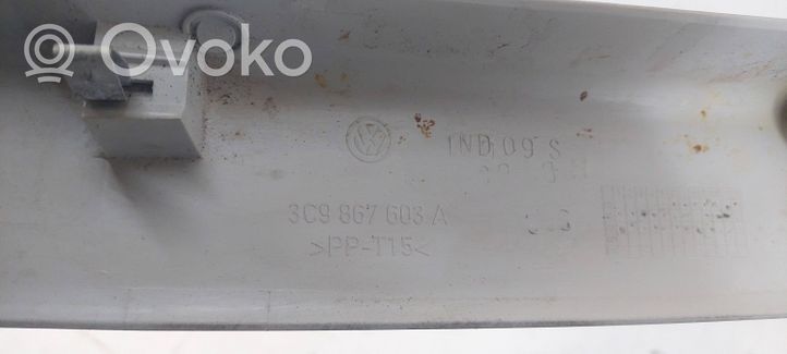 Volkswagen PASSAT B6 Kita bagažinės apdailos detalė 3C9867603A