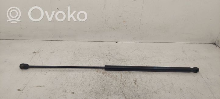 Opel Signum Ammortizzatore portellone anteriore/cofano 24454473