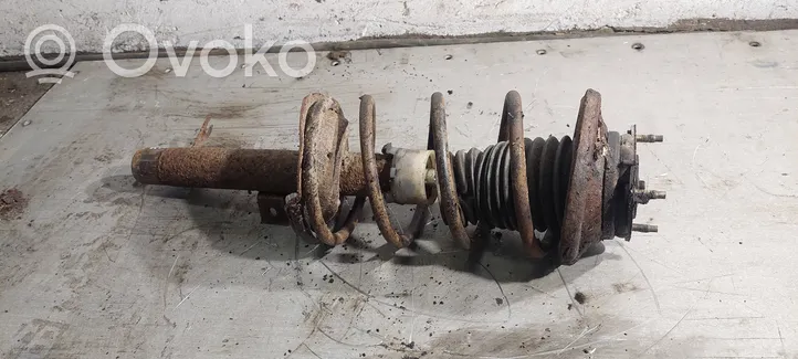 Ford Focus Front shock absorber with coil spring 