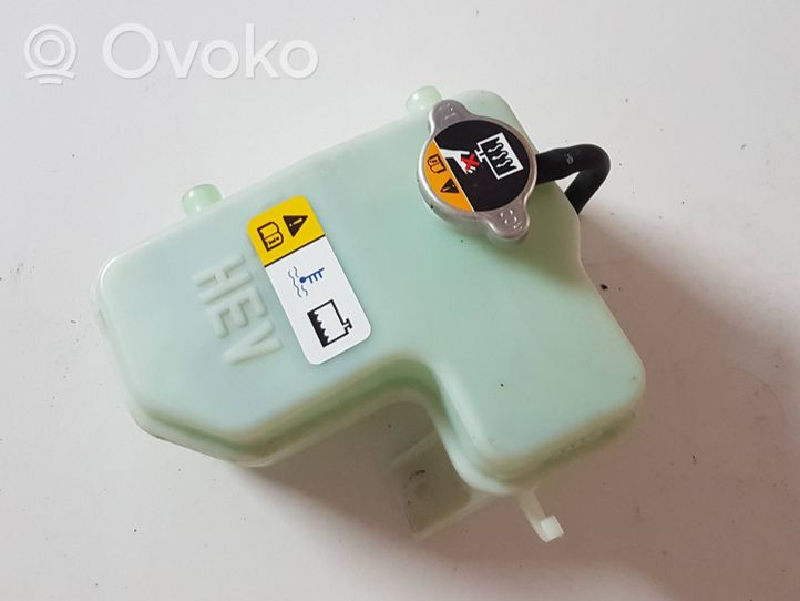 Hyundai Sonata Coolant expansion tank/reservoir 25430E6000