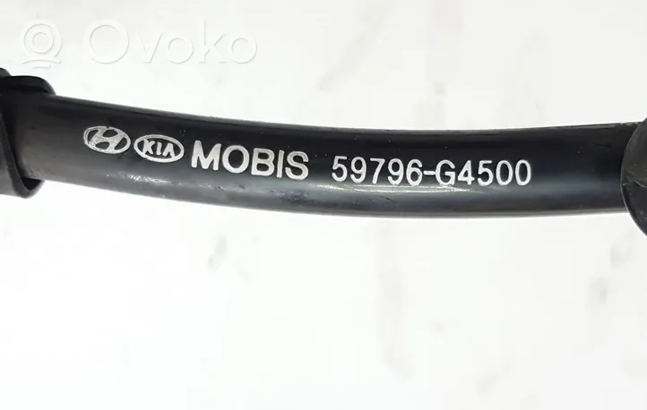 Hyundai i30 Cableado del sensor ABS trasero 59796G4500
