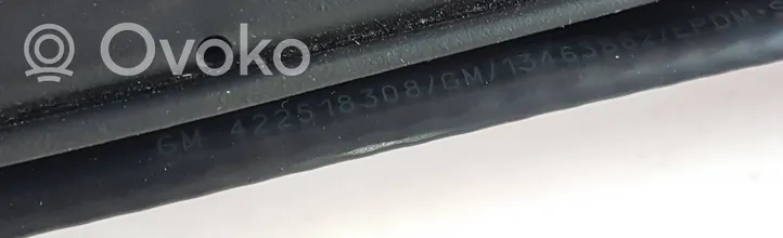 Opel Insignia B Priekinė sandarinimo guma ant kėbulo 422518308