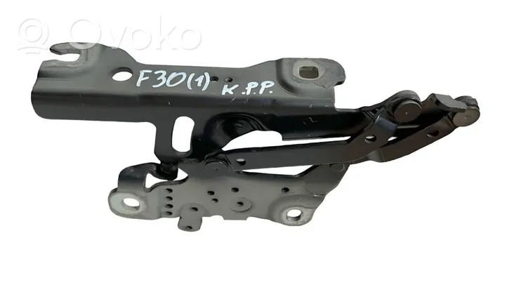 BMW 3 F30 F35 F31 Cerniere del vano motore/cofano 7336699