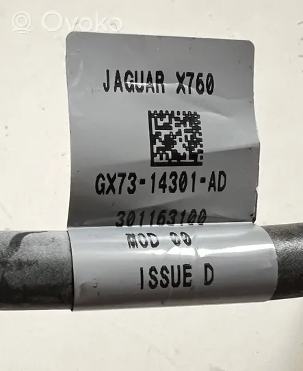 Jaguar F-Pace Cavo negativo messa a terra (batteria) BJ3210C679AE