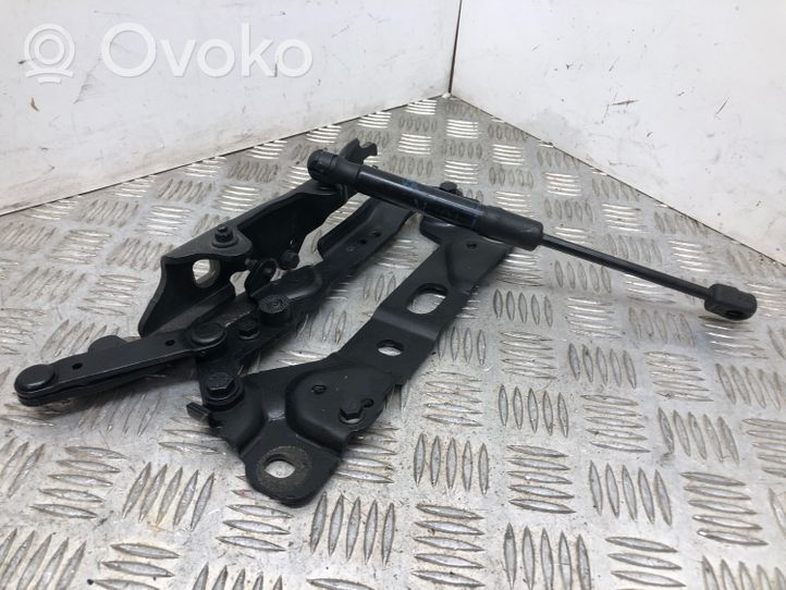 BMW 5 F10 F11 Engine bonnet/hood hinges 7191327