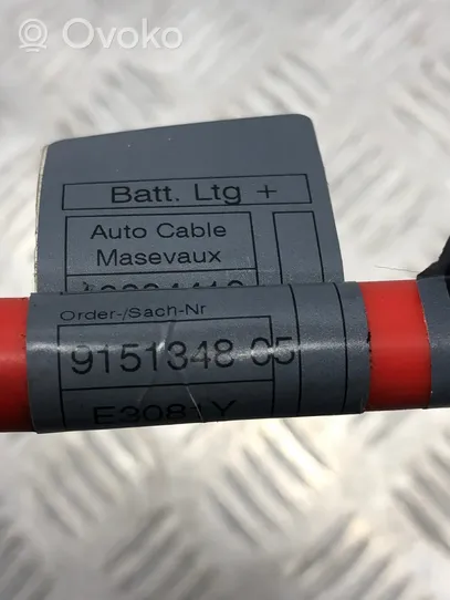 BMW 5 GT F07 Câble de batterie positif 9151348