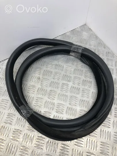 BMW 5 F10 F11 Front door rubber seal 7182270