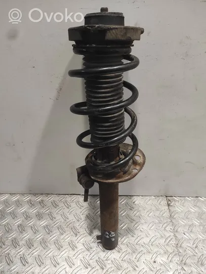 Audi A3 S3 8P Front shock absorber with coil spring 