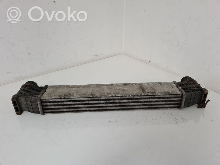 Seat Alhambra (Mk1) Radiatore intercooler 95VW9L440AA