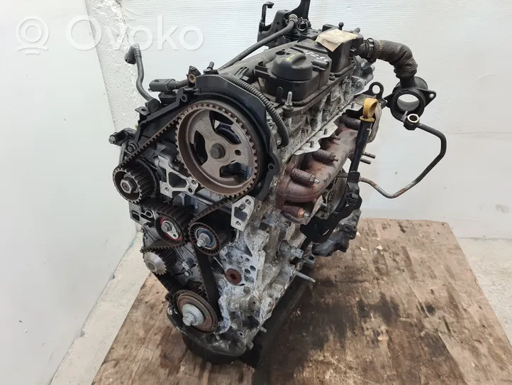 Ford Focus Motor T1DB