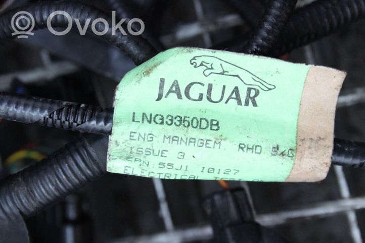 Jaguar XJ X308 Moottorin asennusjohtosarja LNG3350DB