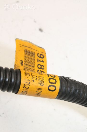 KIA Soul Câble de batterie positif 91857E4200