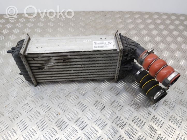 Citroen C4 Cactus Chłodnica powietrza doładowującego / Intercooler 9803900780