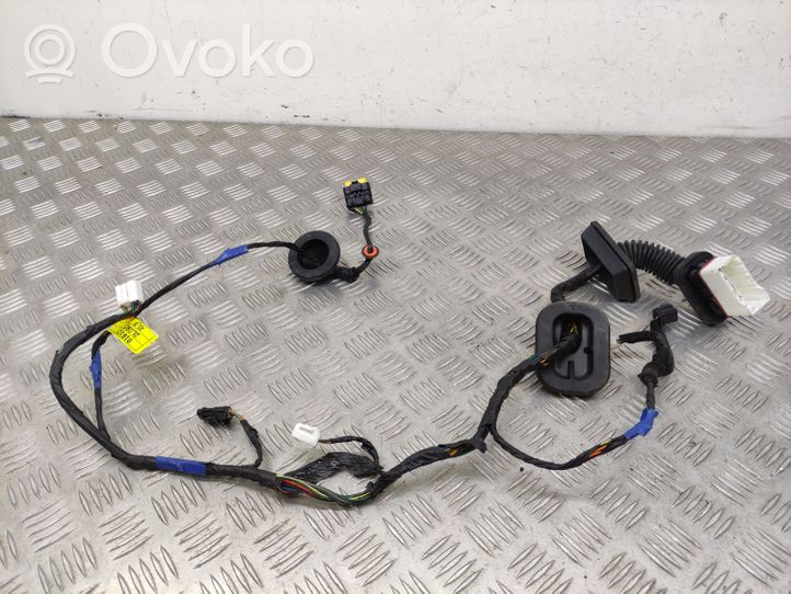 Hyundai i30 Front door wiring loom 916102L080