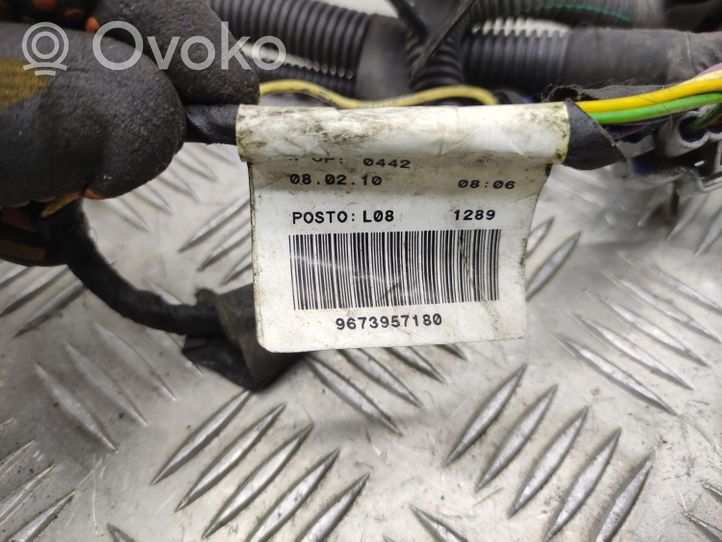 Citroen C5 Cable positivo (batería) 9673957180