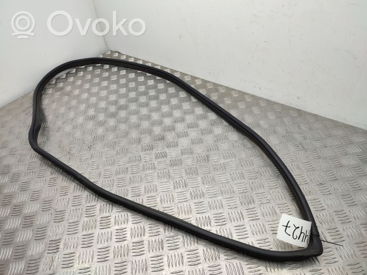 Hyundai i20 (GB IB) Rear door rubber seal (on body) 