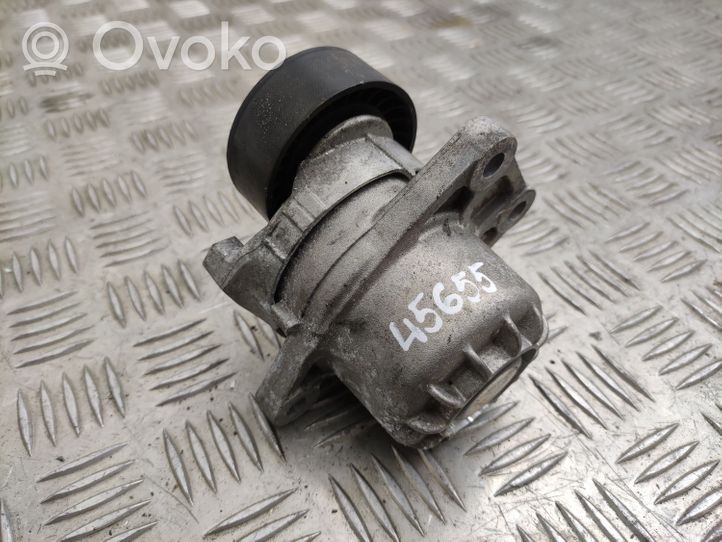 Citroen C4 Grand Picasso Napinacz paska alternatora 