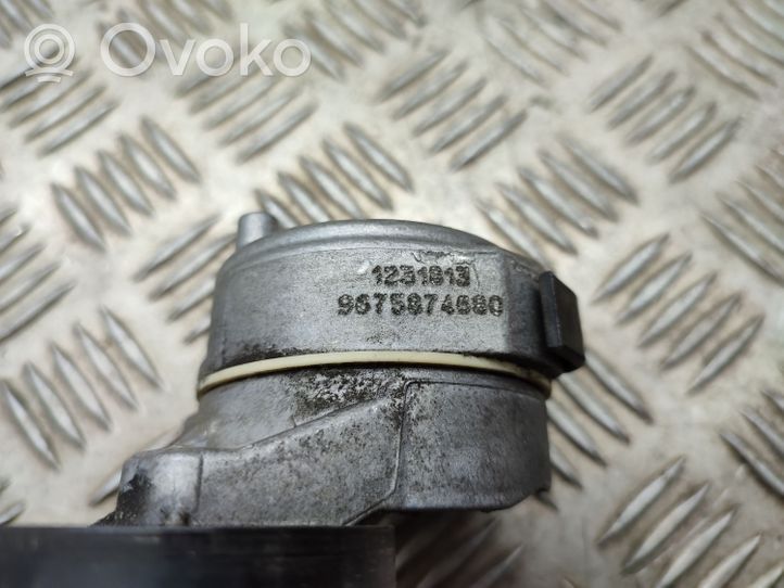 Citroen C3 Aircross Tendicinghia generatore/alternatore 9675874680