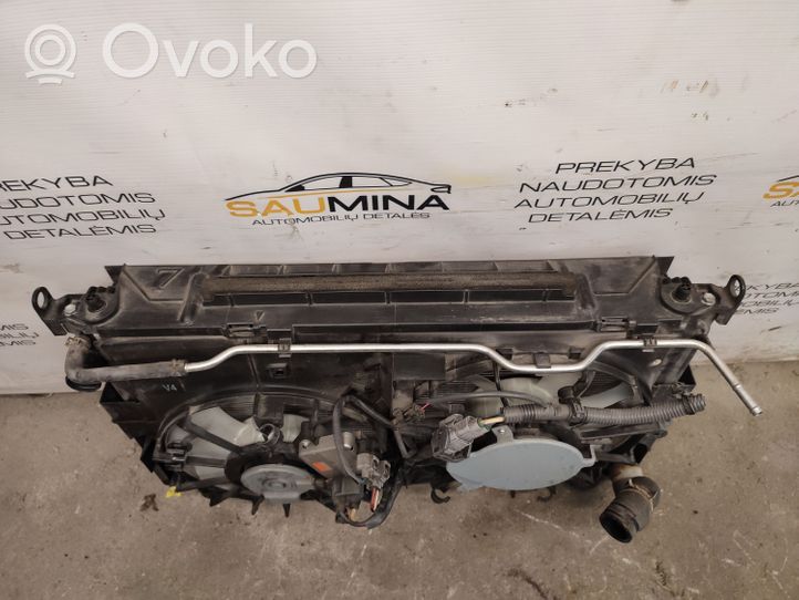 Toyota RAV 4 (XA40) Radiatorių komplektas 4221353980