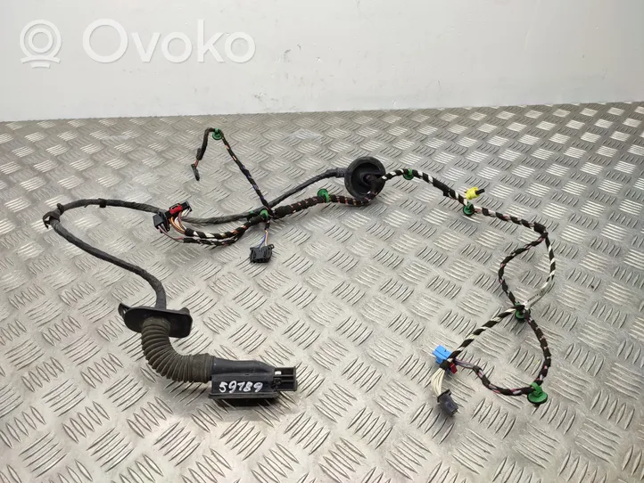 Volkswagen PASSAT B8 Front door wiring loom 3G2971121H